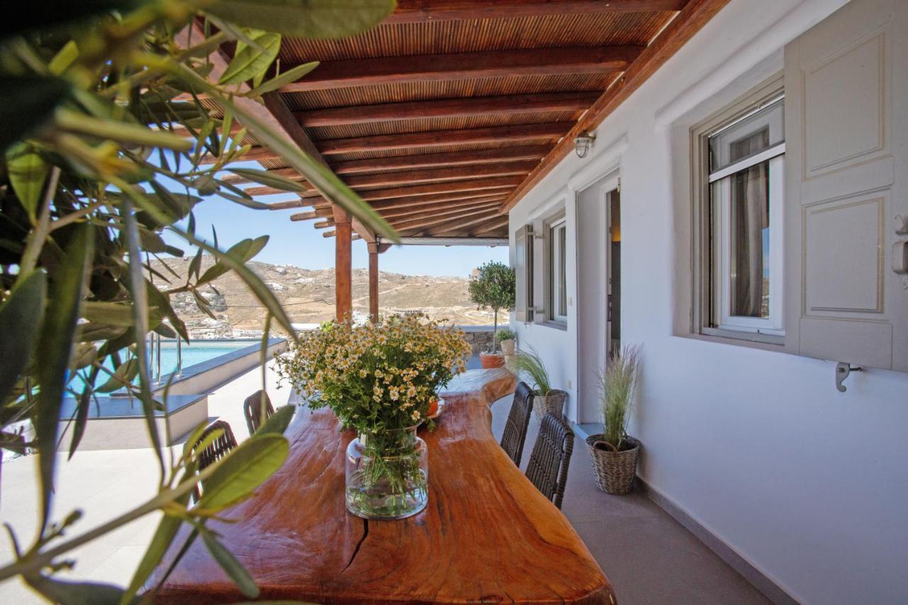 Infinity View Villas Mykonos Playa Playa Kalo Livadi Exterior foto
