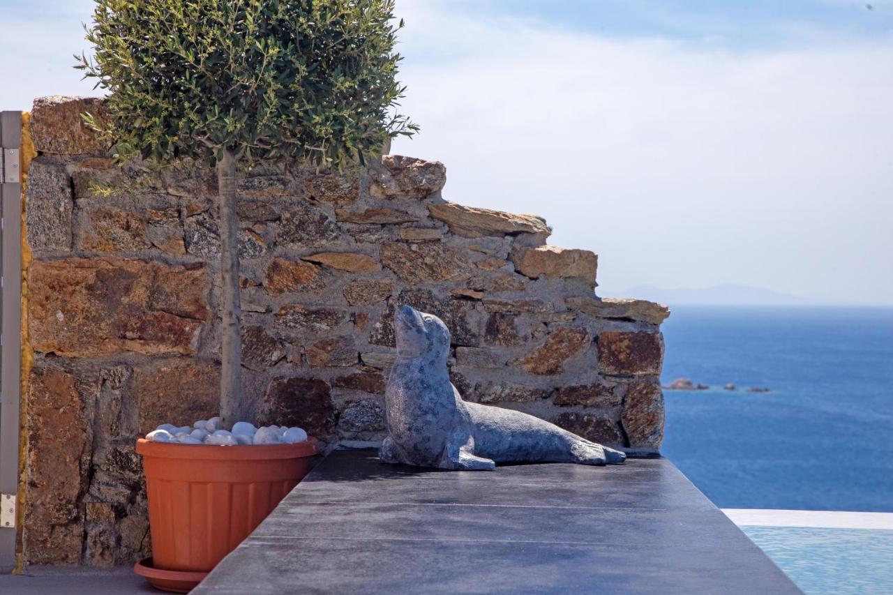 Infinity View Villas Mykonos Playa Playa Kalo Livadi Exterior foto