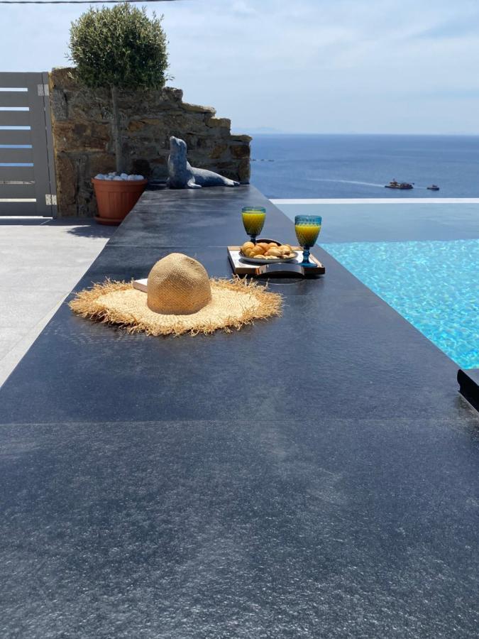 Infinity View Villas Mykonos Playa Playa Kalo Livadi Exterior foto